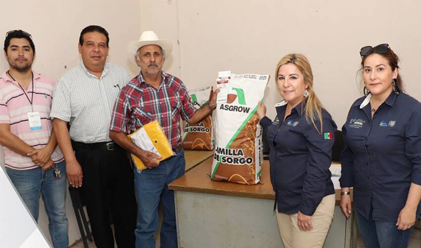 Se entrega semilla de sorgo e impermeables a agricultores